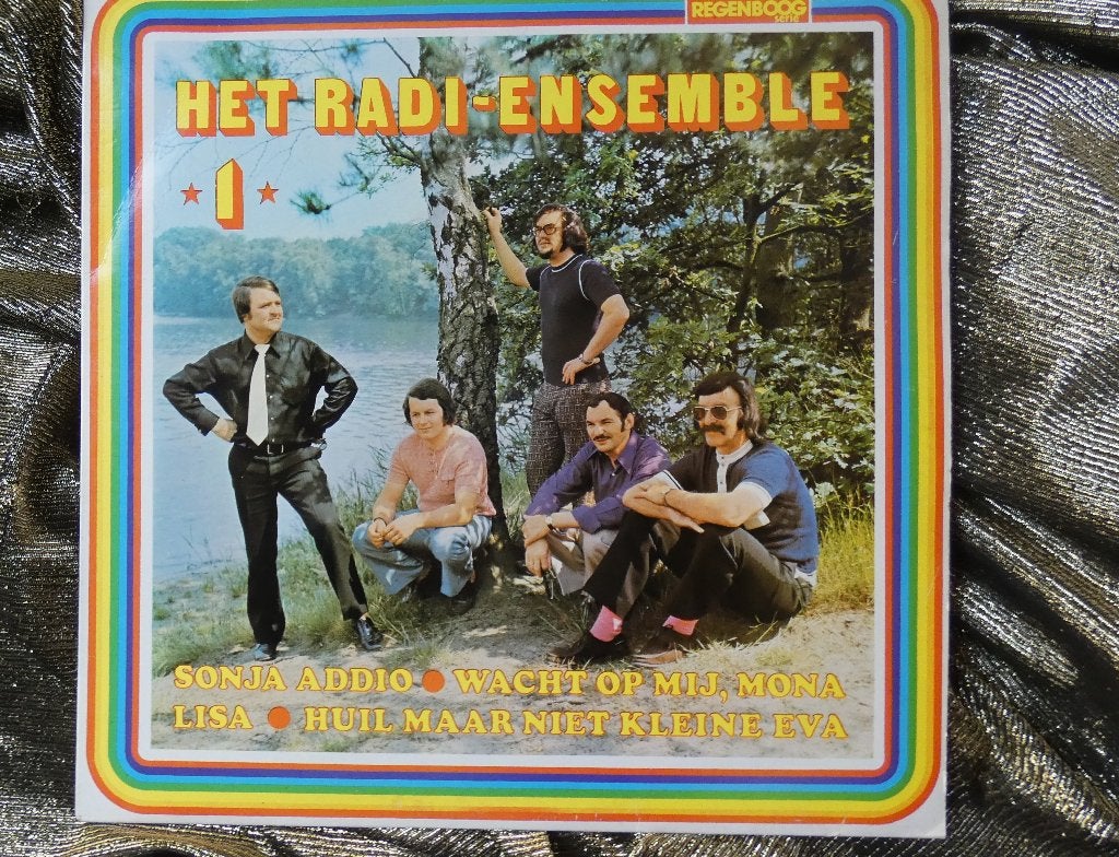Het Radi-Ensemble – TELSTAR-Regenboog-LP, Ophalen, Gebruikt, 12 inch, Overige genres