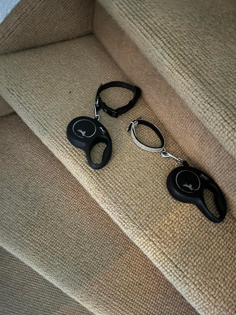 2 x honden riem voor kleine hond, Ophalen of Verzenden, Zo goed als nieuw
