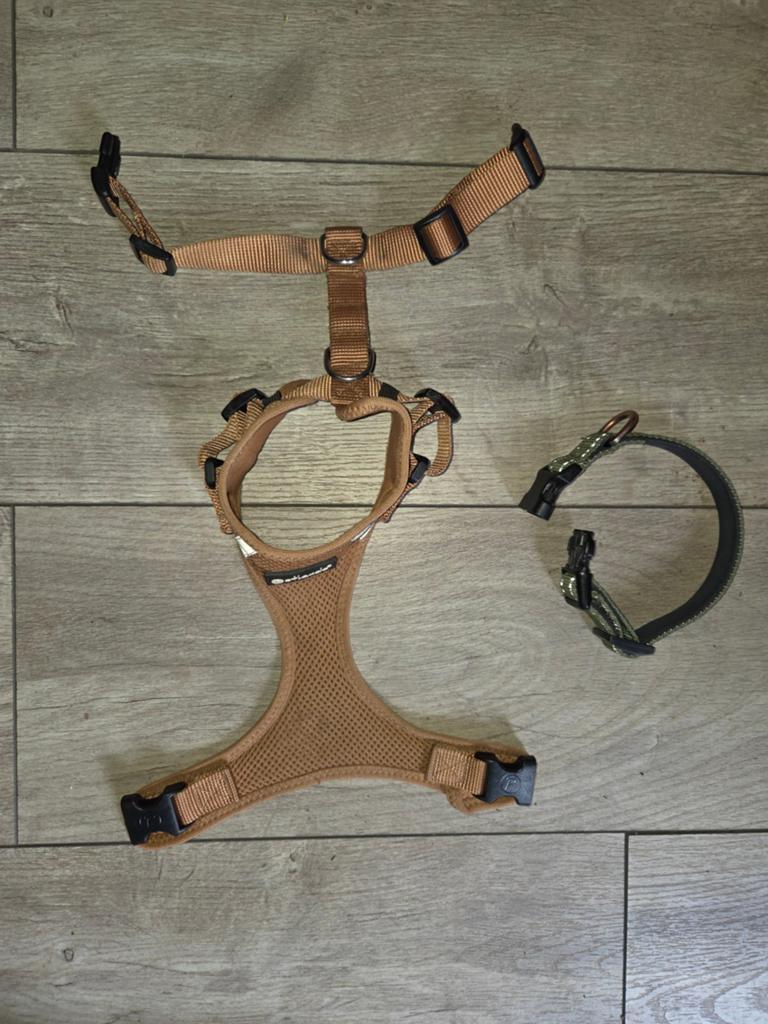 Halsband en tuigje kleine hond of pup, Ophalen of Verzenden, Zo goed als nieuw