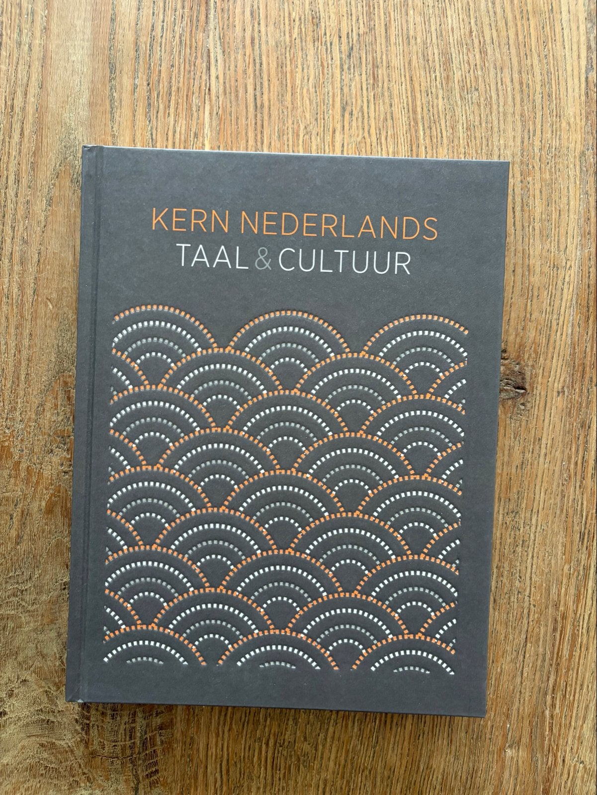 Kern Nederlands Taal & Cultuur - Boek, Ophalen of Verzenden, Zo goed als nieuw, Non-fictie
