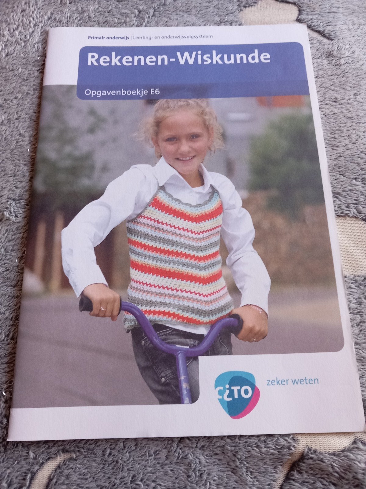 Groep 6 citotoets Cito Rekenen-Wiskunde Opgavenboekje E6, Ophalen of Verzenden, Gelezen