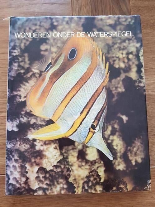 wonderen onder de waterspiegel - deel 8 vissen, Boeken, Encyclopedieën, Gelezen, Ophalen of Verzenden, Los deel, Lekturama