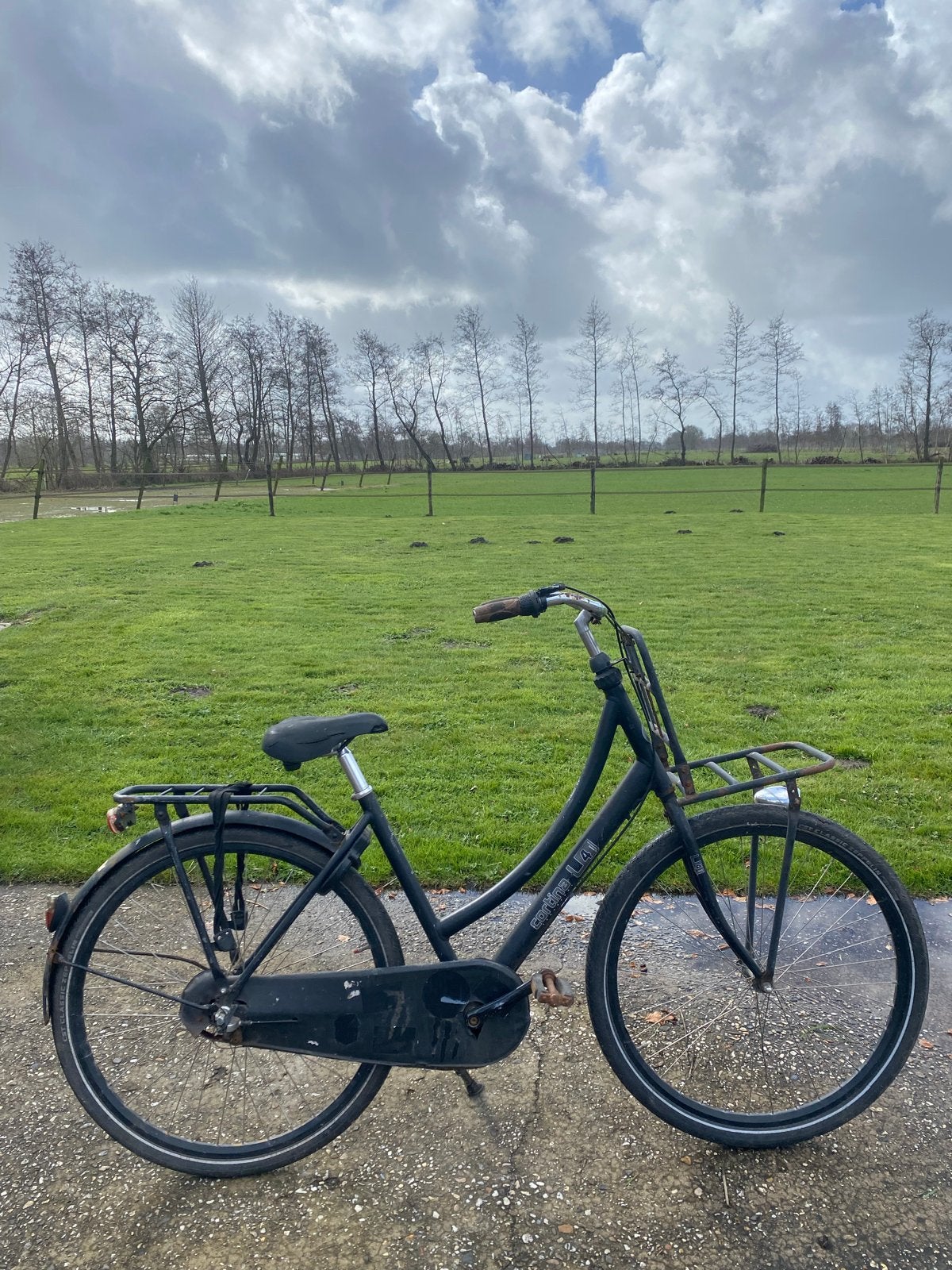 Cortina damesfiets, Fietsen en Brommers, Overige merken, Terugtraprem, Gebruikt, Versnellingen