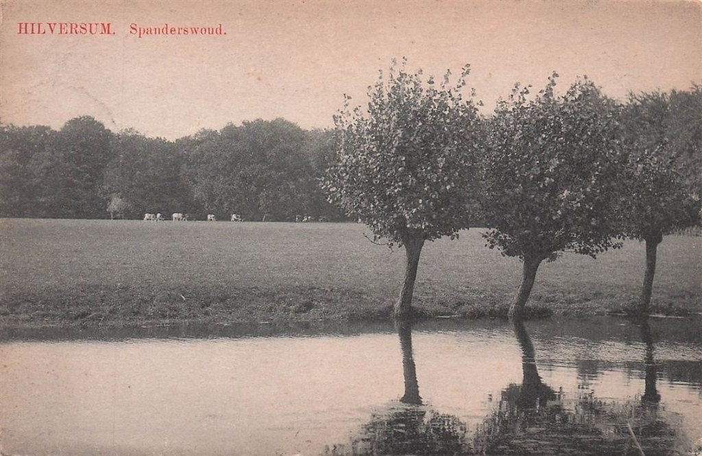 702-248-021 Hilversum Spanderswoud, Verzenden, Voor 1920, Noord-Holland