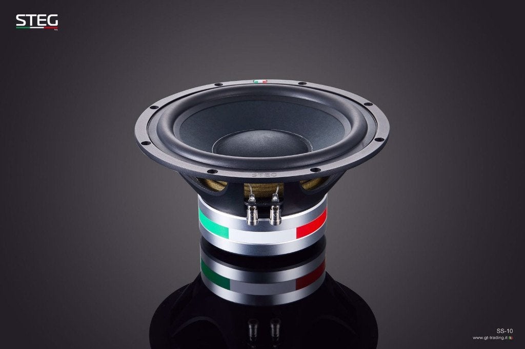 STEG SS-10 Master Stroke 10 inch subwoofer High end, Hifi-Focus, Aalsmeerderweg 173 1432 CL, Aalsmeer, Nieuw, Ophalen of Verzenden