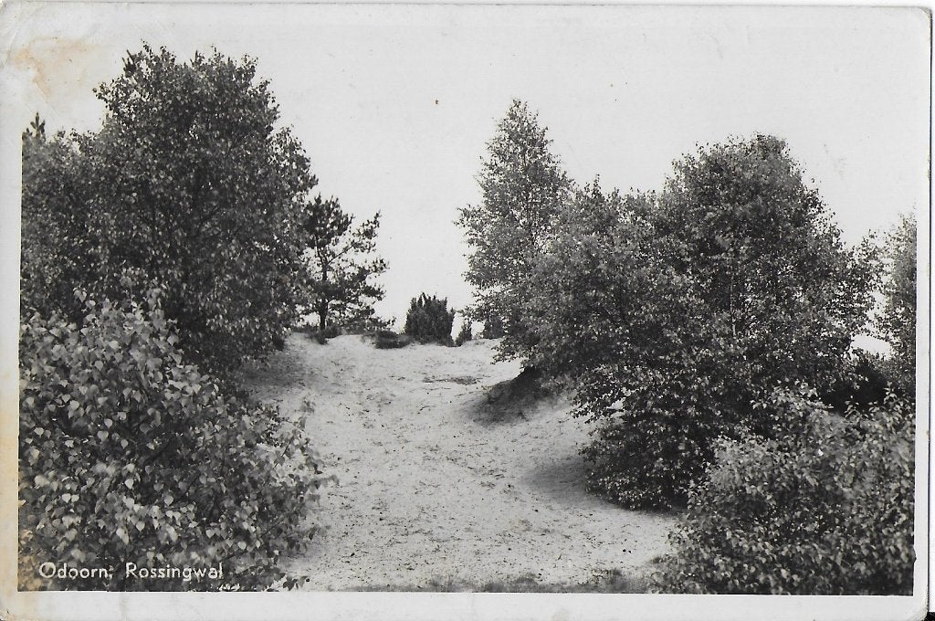 Pa1010 Oude Gelopen Ansichtkaart Odoorn Rossingwal, Ophalen of Verzenden, 1980 tot heden, Gelopen