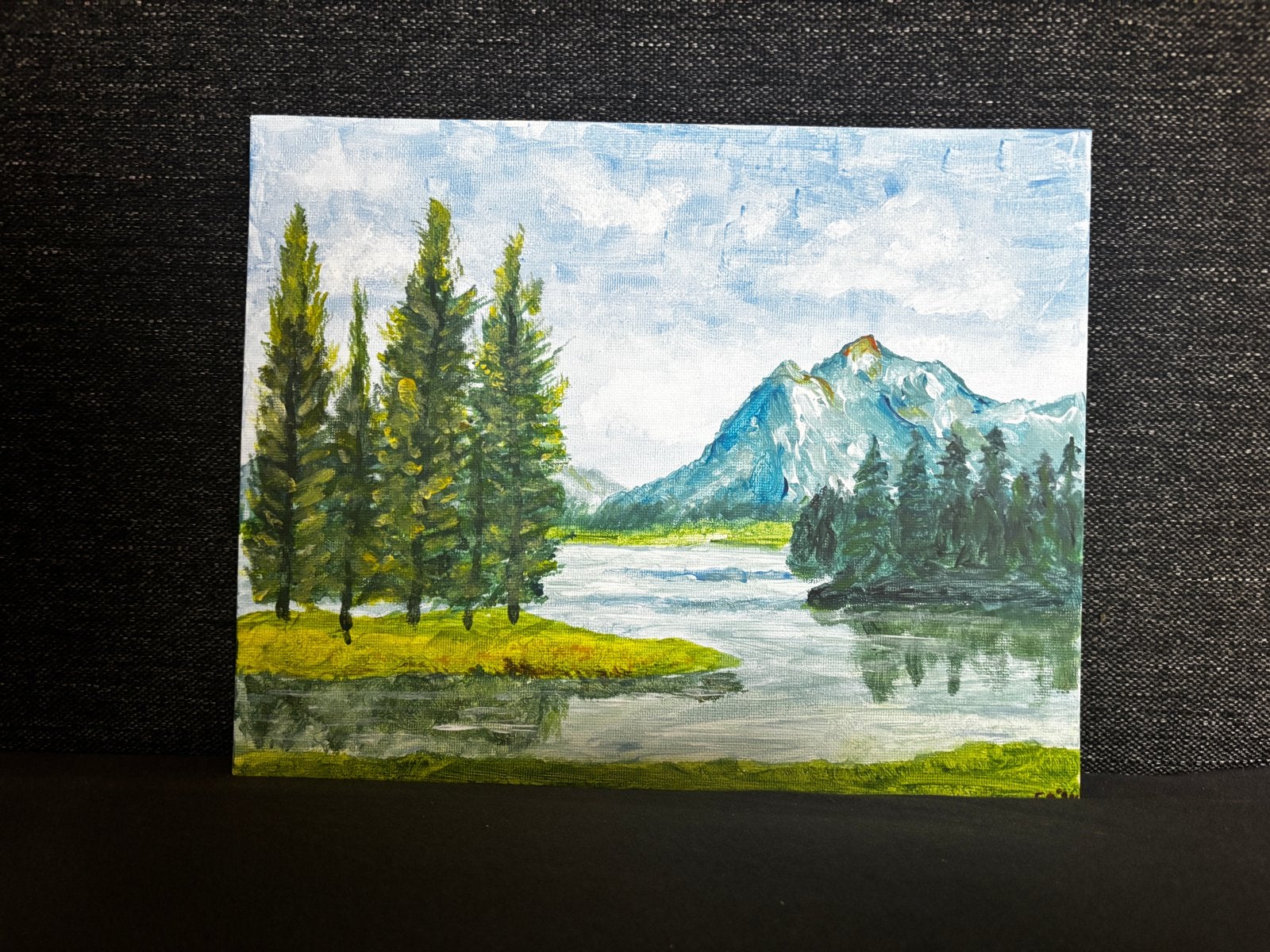 Schilderij: Berglandschap met meer en dennenbomen, Acrylverf, Doek, Realistisch, Ophalen of Verzenden