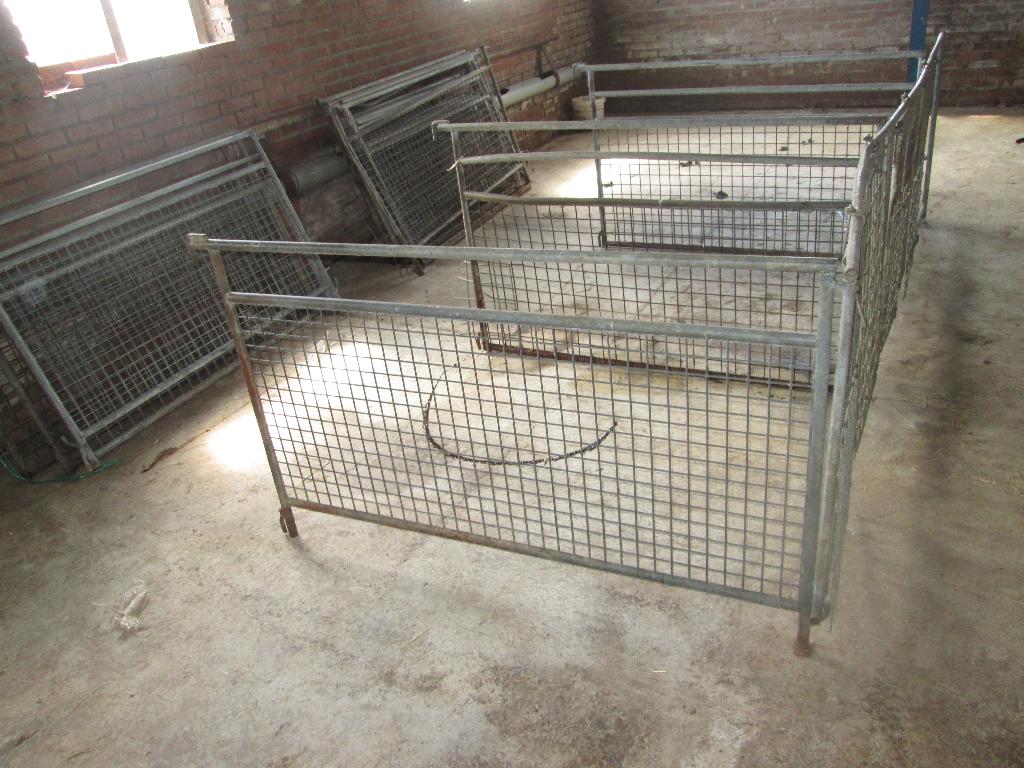kleine schapen hekjes  1,50x1,00, Dieren en Toebehoren, Meerdere dieren, Schaap, 0 tot 2 jaar