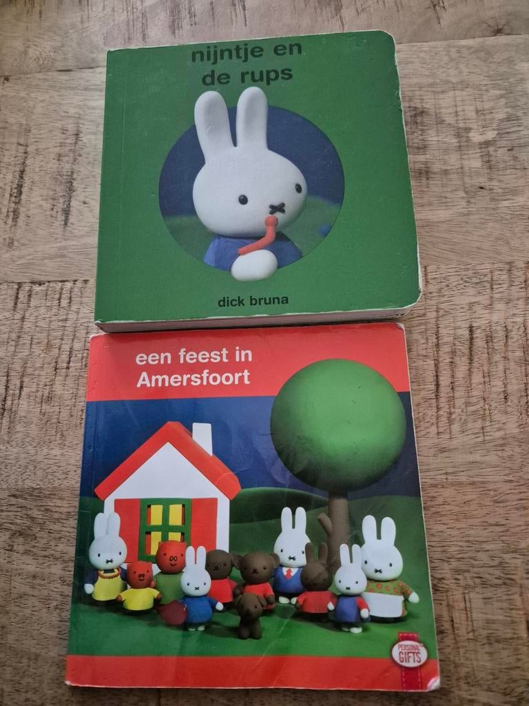 Dick Bruna - Nijntje en de rups, Een feest in Amersfoort, Boeken, Ophalen of Verzenden, Zo goed als nieuw, Dick Bruna