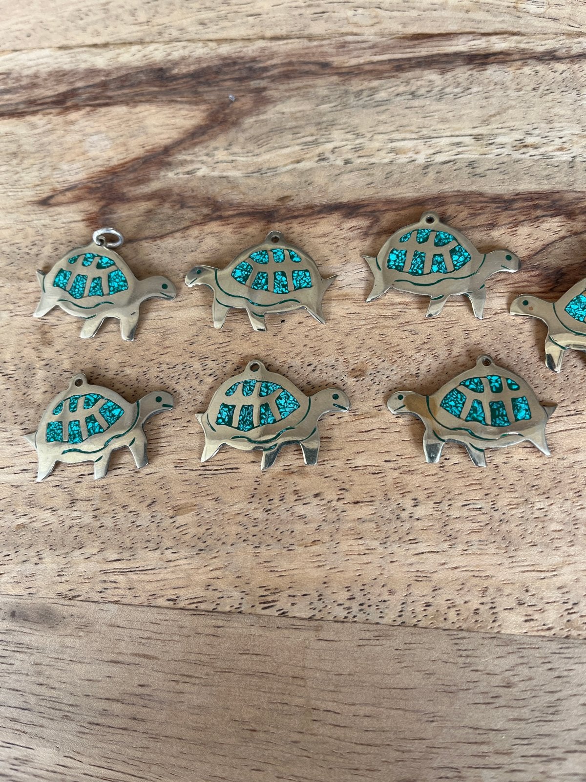 Schildpad bedels met turkoois inleg - Zilverkleurig, Ophalen of Verzenden, Zo goed als nieuw, Met edelsteen, Dier
