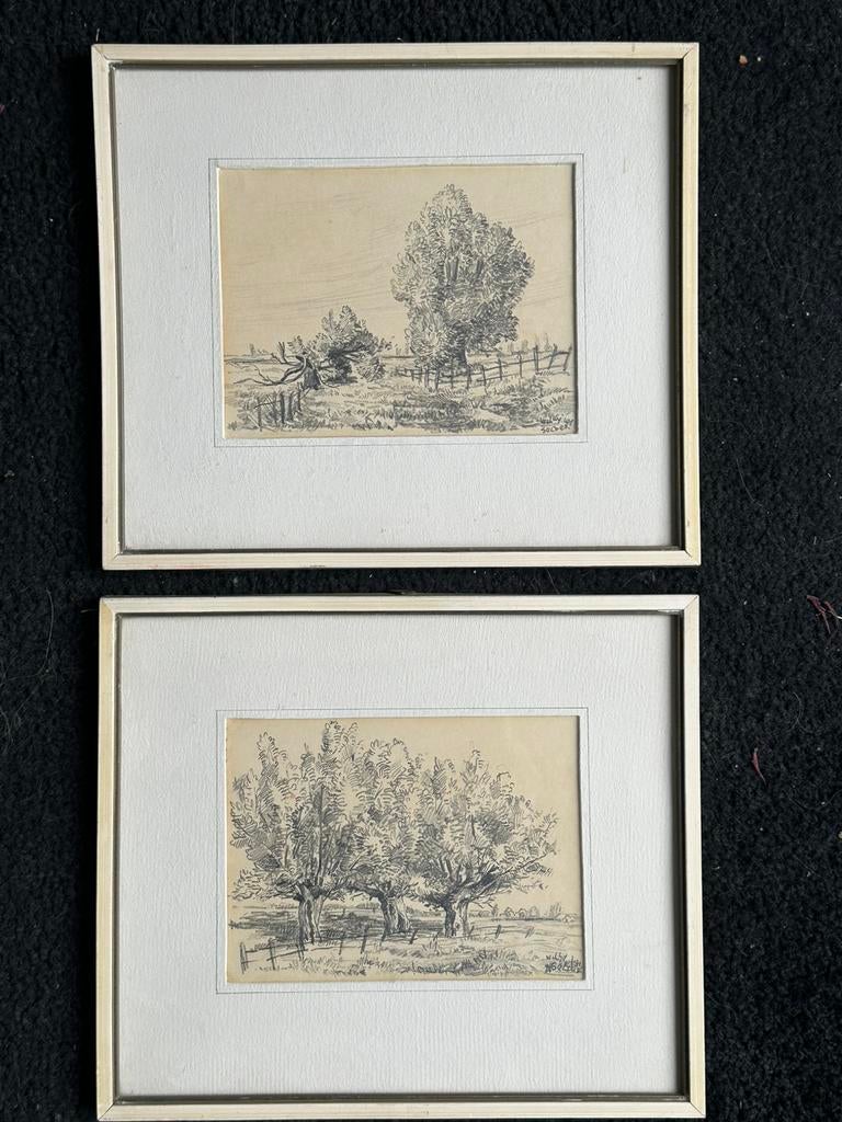 2 oude potlood tekeningen Knotwilgen thema 1 koop, Ophalen of Verzenden