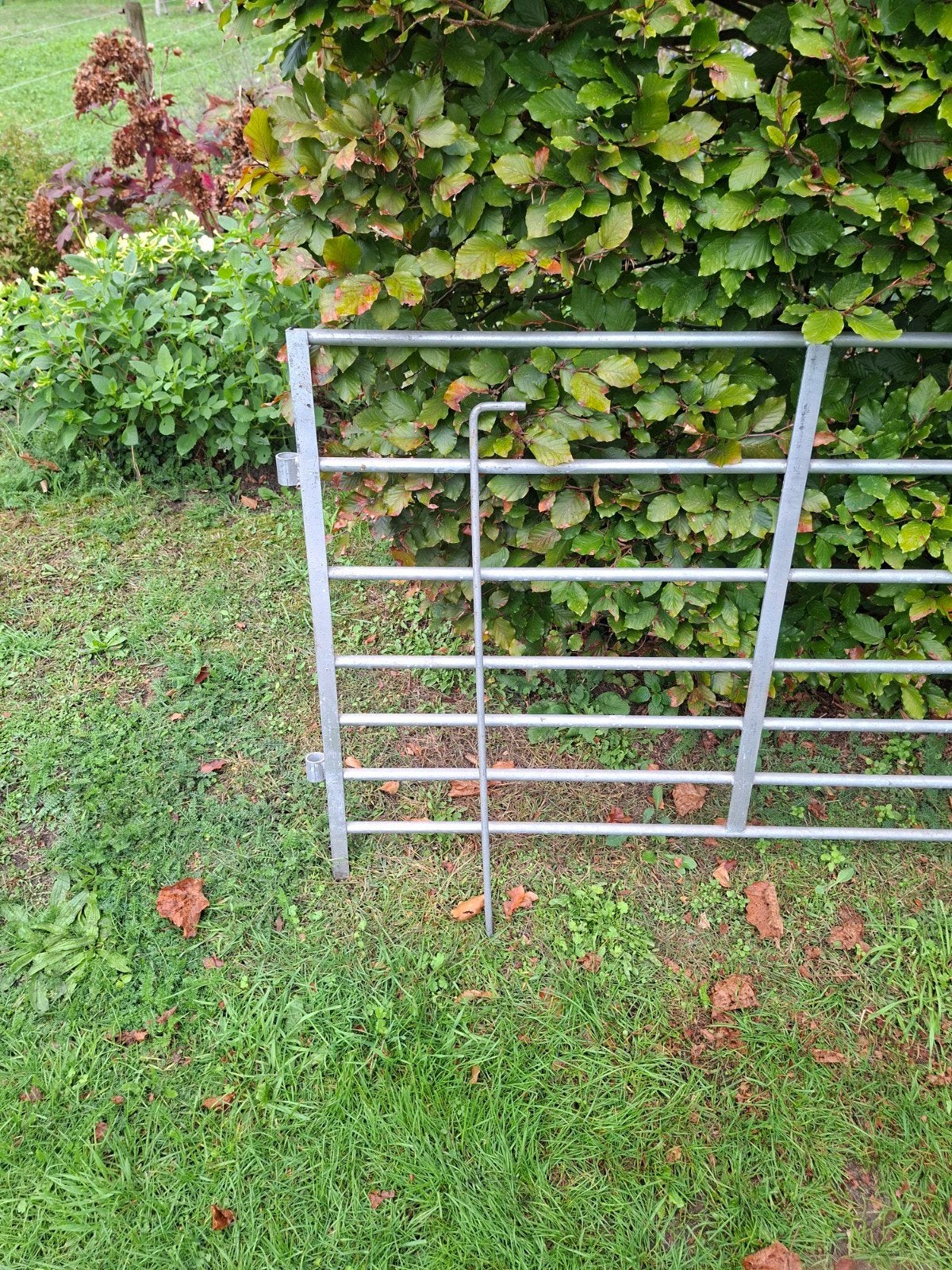 8 Beljaars schapen/kleinvee hekjes 95 x145cm met koppelpin, Schaap