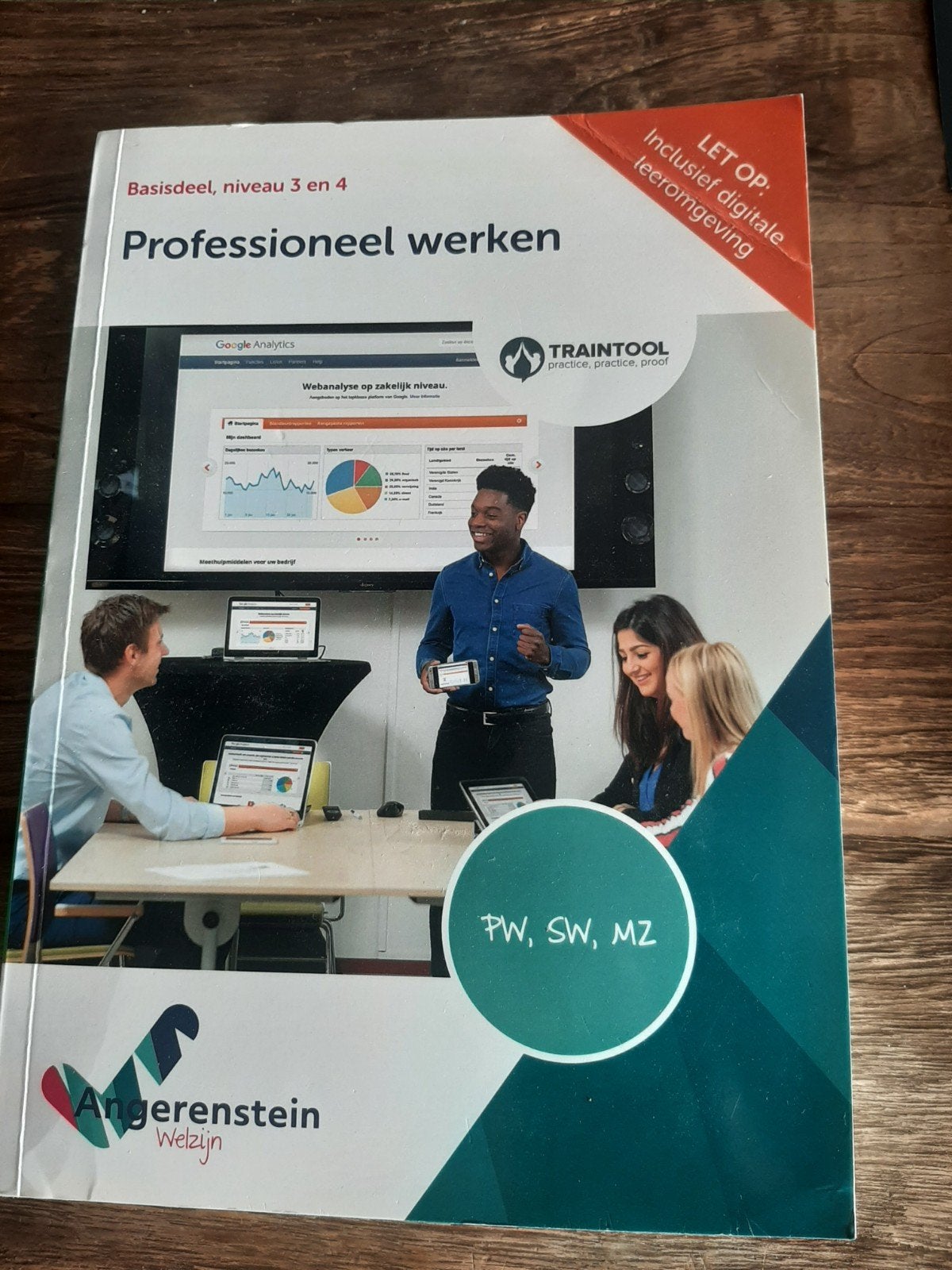 Professioneel werken - Angerenstein, Barbara Becker, Marijke Beers, Willeke den Brok, Ton Cremers, Ophalen of Verzenden, Zo goed als nieuw
