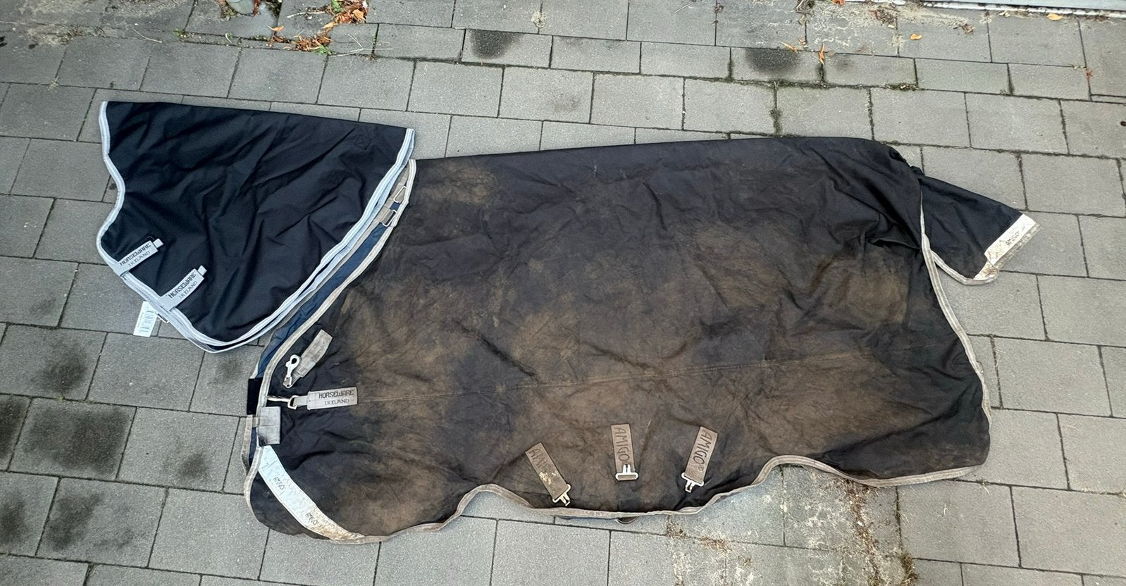 Amigo bravo 12 xl 6,6, Dieren en Toebehoren, Ophalen of Verzenden