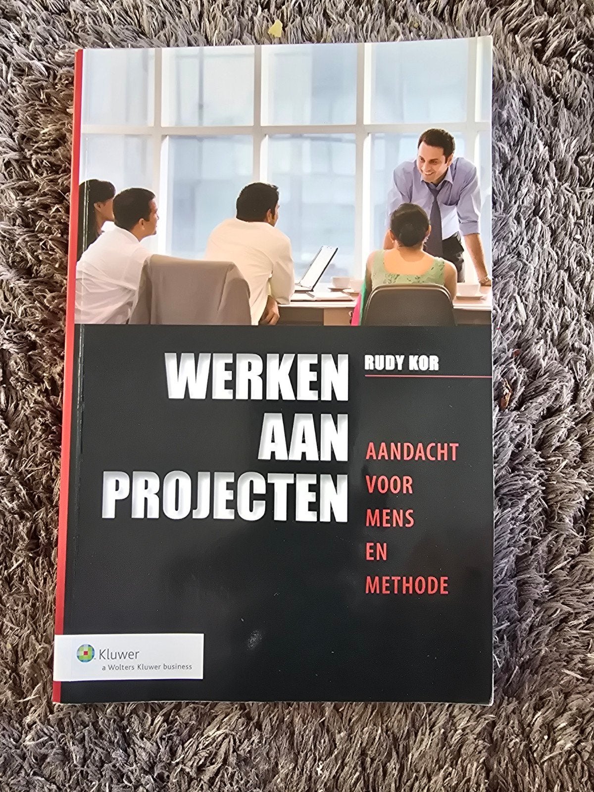 Werken aan Projecten - Rudy Kor (Kluwer), Gelezen, Rudy Kor, Gamma, HBO