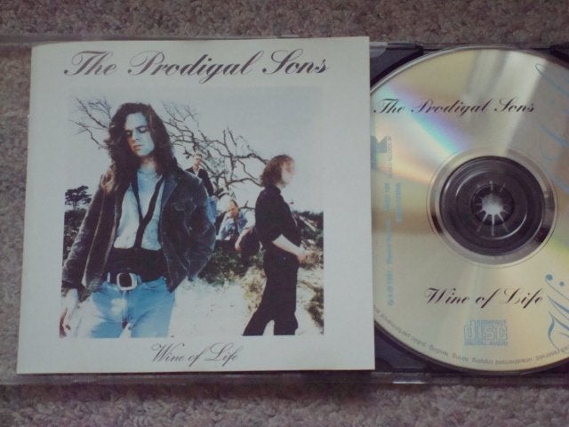The Prodigal Sons...Wine of Life..Erwin Nijhoff.., Eerste persing, Ophalen of Verzenden, Zo goed als nieuw, Classic Rock