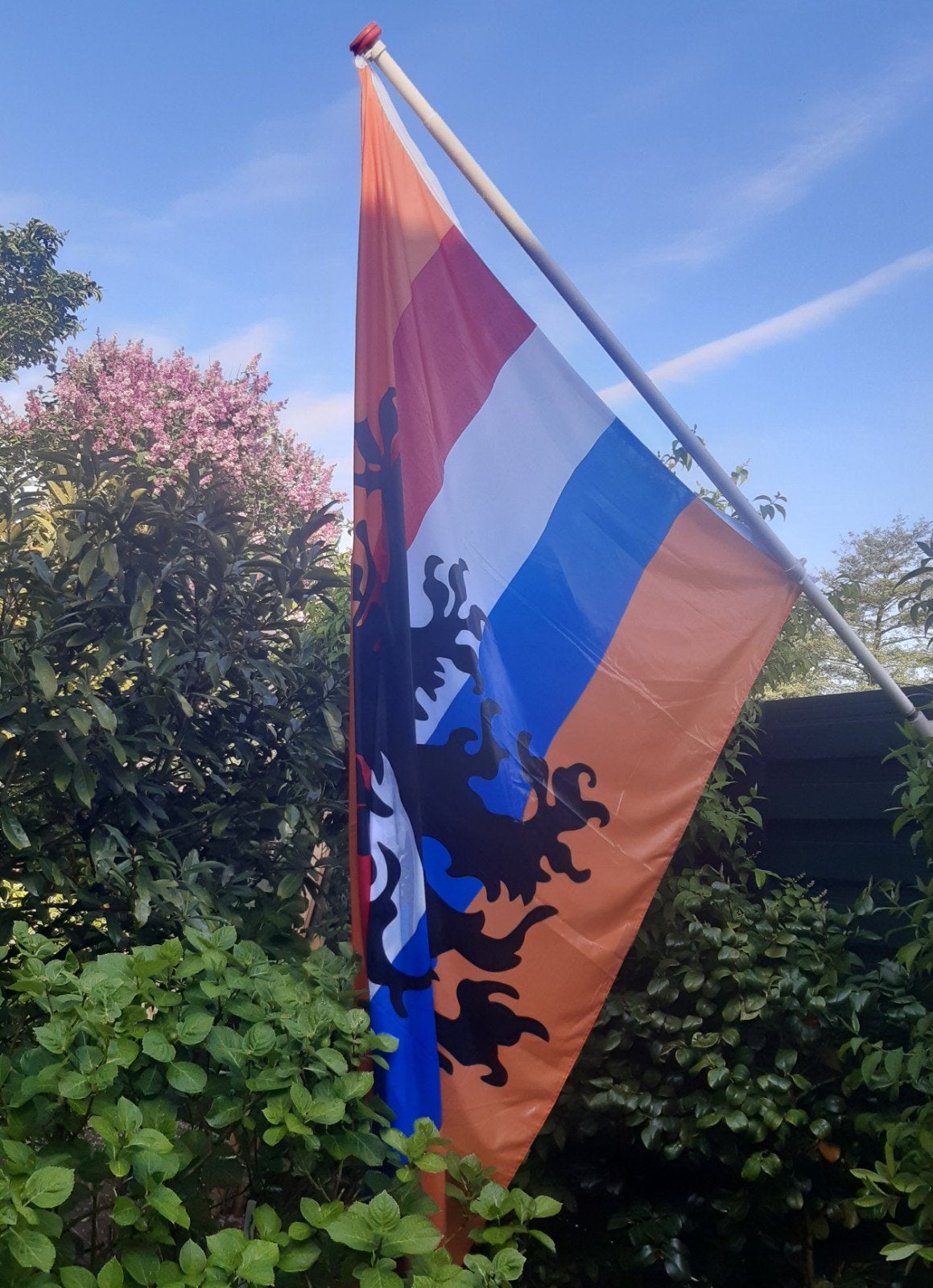 Mooie oranje/ rood wit blauwe vlag met de Nederlandse leeuw, Diversen, Vlaggen en Wimpels, Ophalen of Verzenden