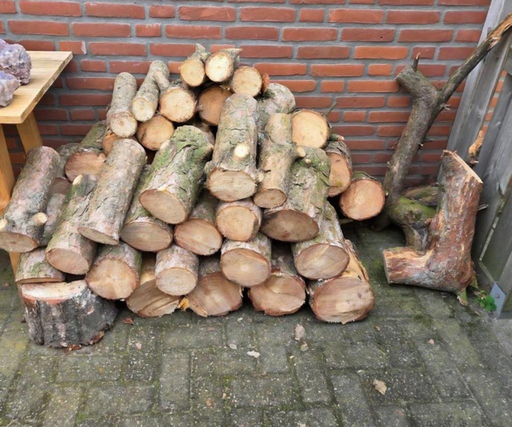 Vers gezaagd denne hout - 2 maanden oud, Tuin en Terras, Minder dan 3 m³, Ophalen, Overige houtsoorten, Blokken