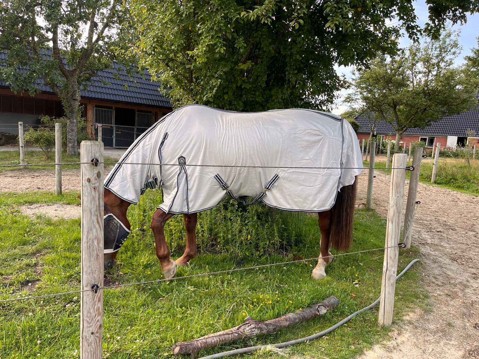 Premier Equine vliegendeken m. vaste hals 6.3, Ophalen of Verzenden, Zo goed als nieuw