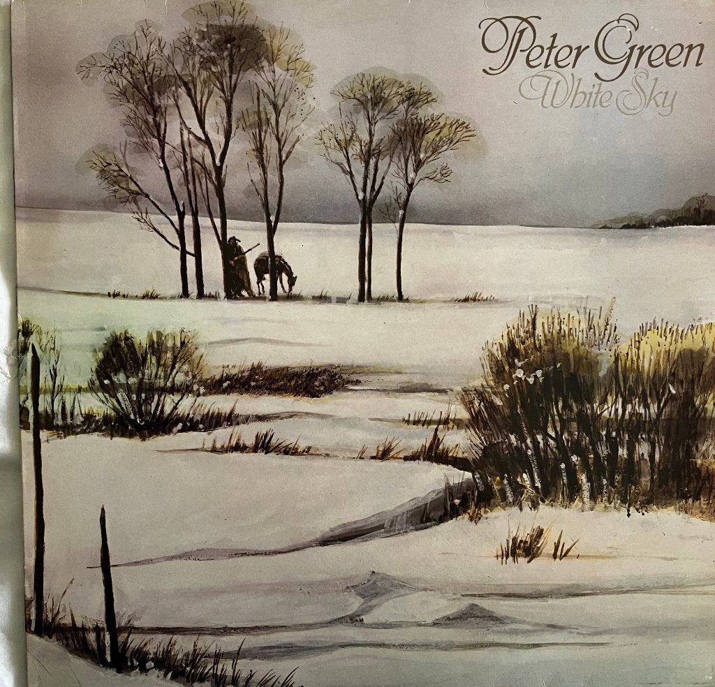 lp: Peter Green – White Sky (1982), Ophalen of Verzenden, LP