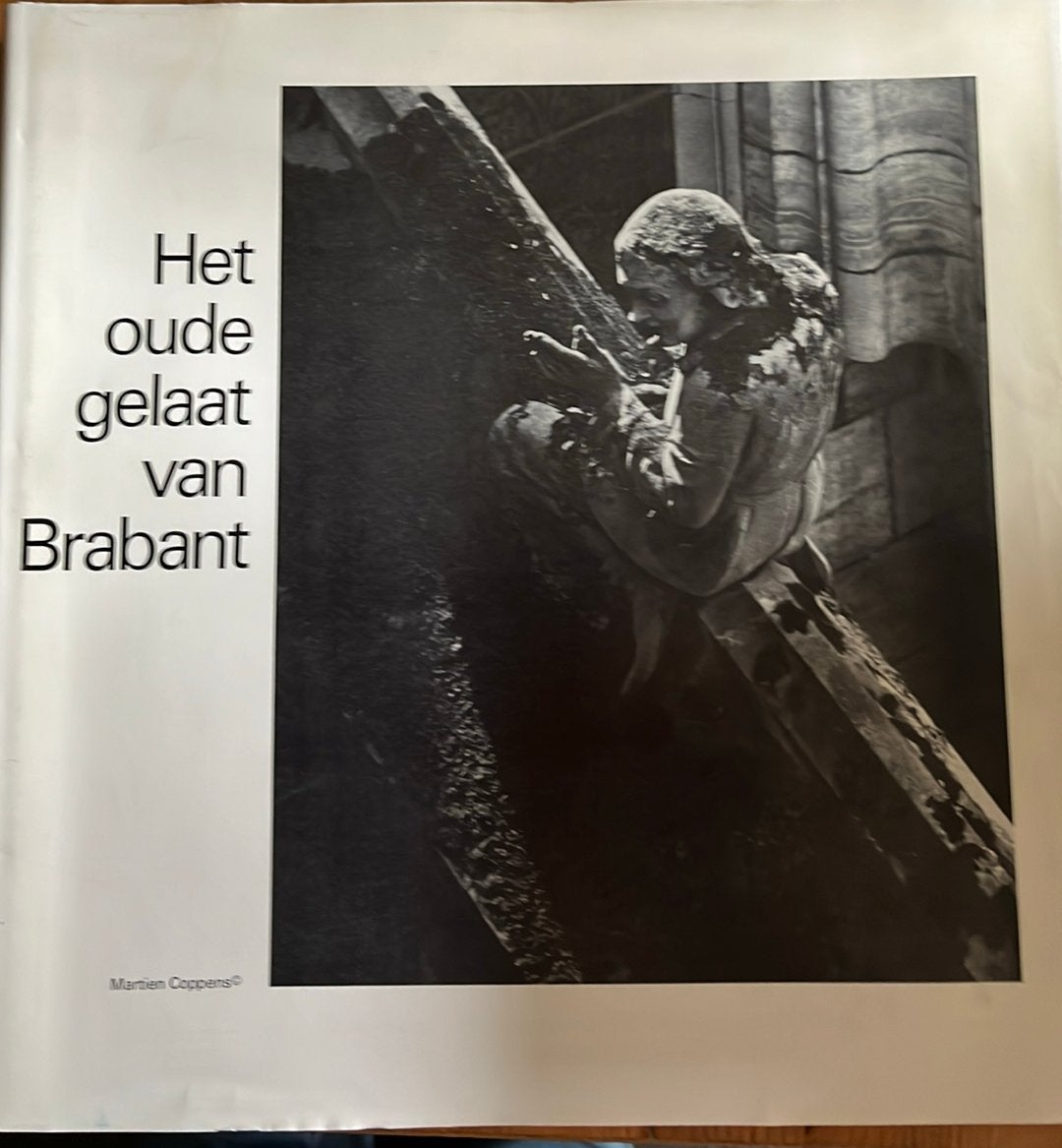Het oude gelaat van Brabant van Martien Coppens, Boeken, Ophalen, Zo goed als nieuw