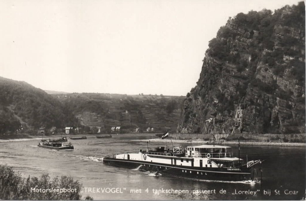 St Goar Motorsleepboot Trekvogel zie tekst achterzijde, Verzenden, 1940 tot 1960, Ongelopen, Duitsland