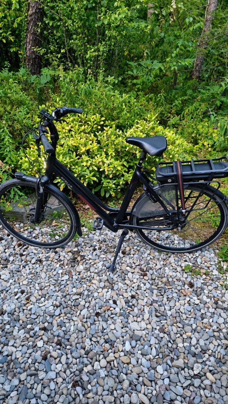 Stella Vincenza FDST elektrische fiets bouwjaar 2022, Ophalen, Overige merken