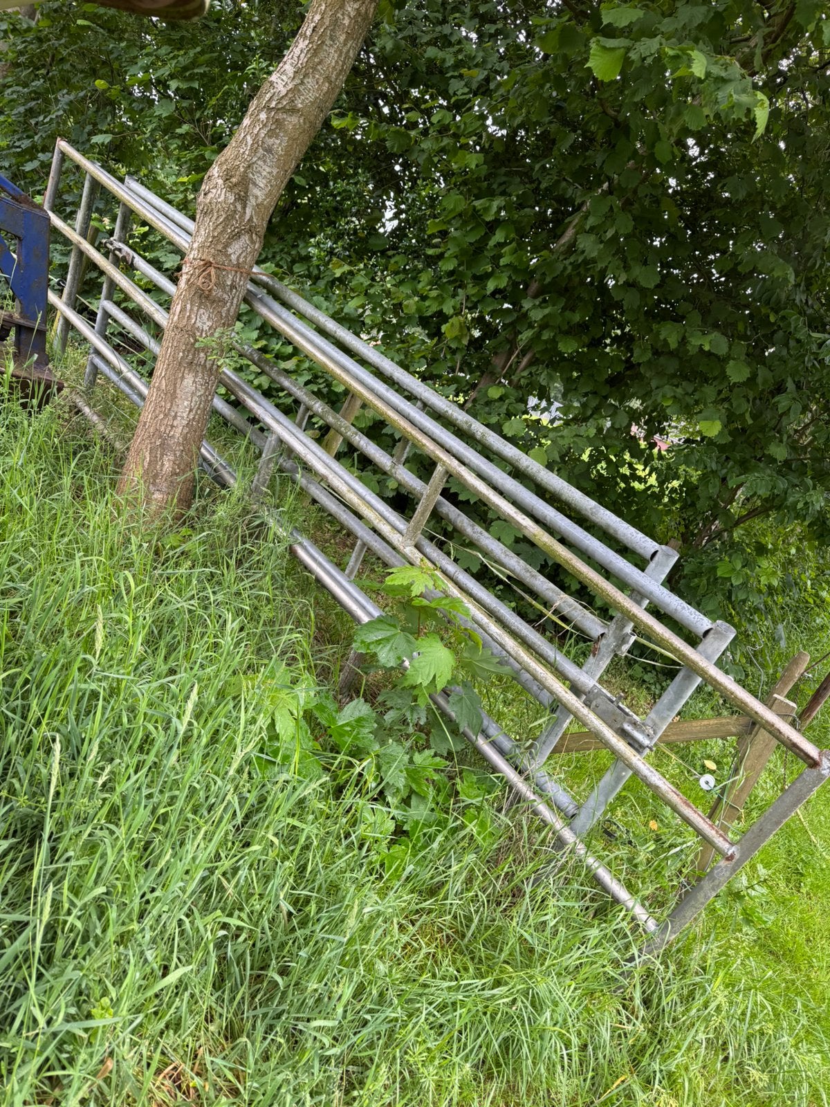 Landhekken, Weidegang