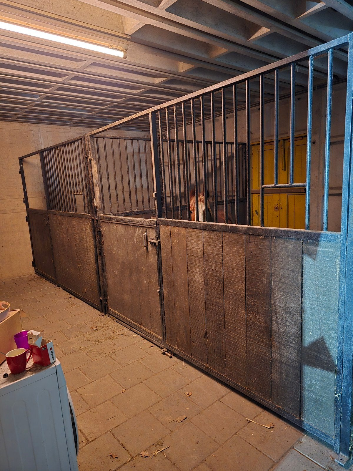 2 paarden stallen te koop, Dieren en Toebehoren, Stalling en Weidegang