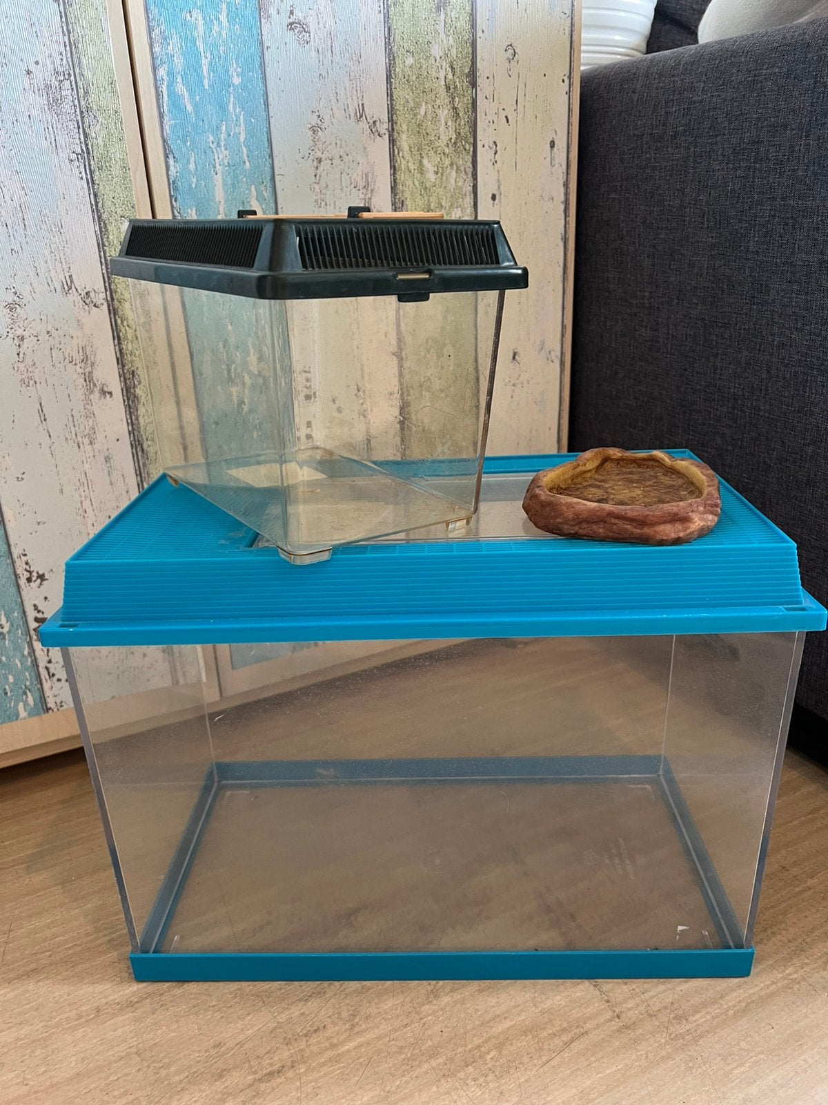 Terrariums en waterschaal, Ophalen of Verzenden, Gebruikt, Terrarium of Paludarium