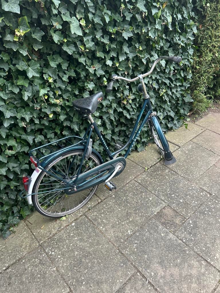 Gazelle damesfiets, Ophalen, Terugtraprem, Gazelle, 53 tot 56 cm