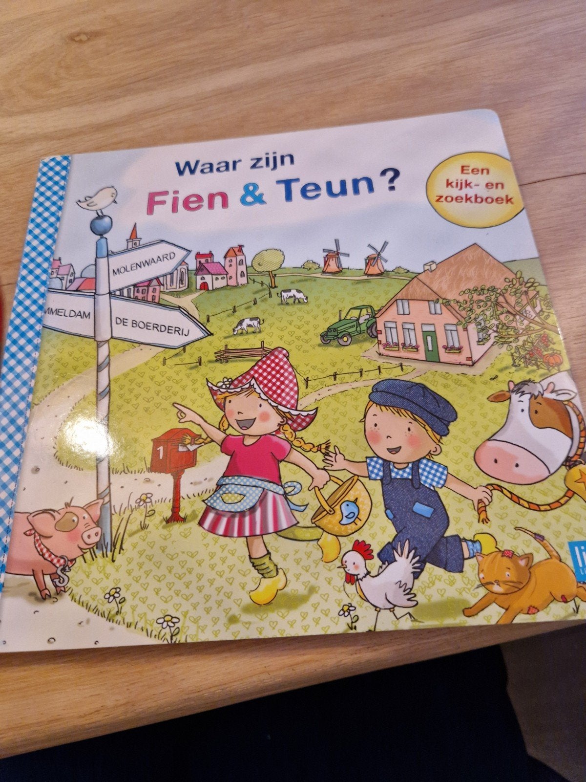 Waar zijn Fien & Teun? Kijk- en zoekboek, Ophalen of Verzenden, Gelezen