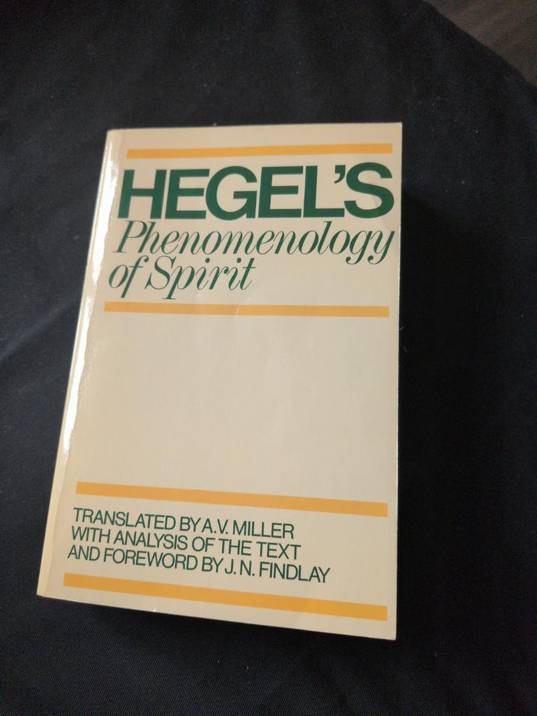 Hegel's phenomenology of spirit, Boeken, Ophalen of Verzenden, Gelezen
