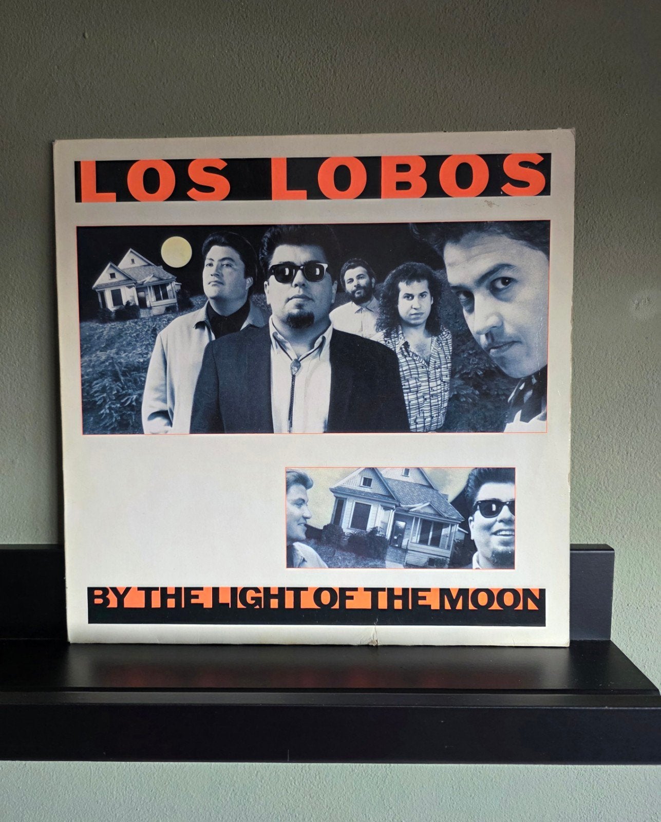 Lp, Los Lobos / In the Light of the Moon izgst!, Ophalen of Verzenden, Zo goed als nieuw, 12 inch, Poprock