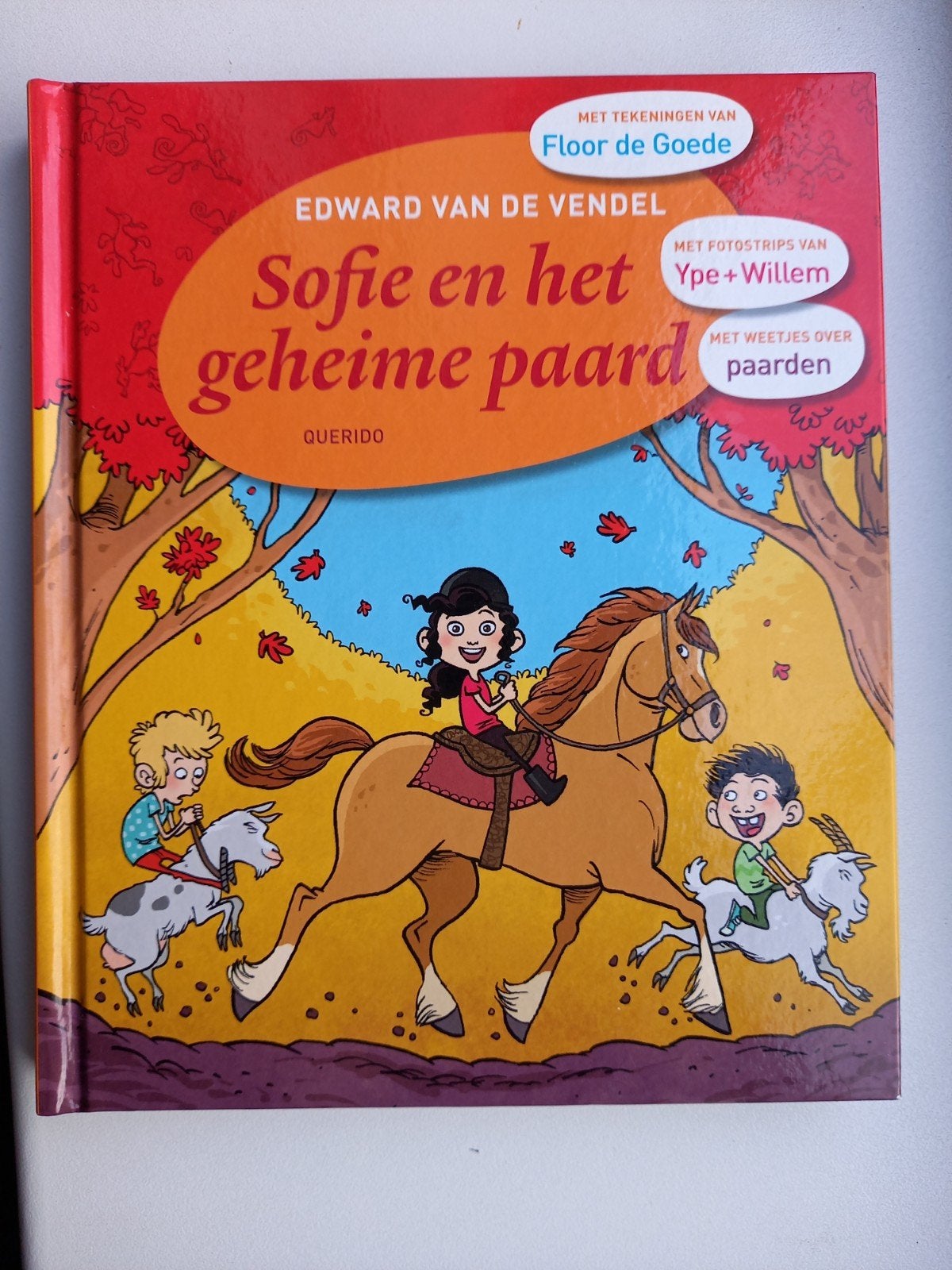 Sofie en het geheime paard - Edward van de Vendel, Boeken, Ophalen of Verzenden, Zo goed als nieuw, Edward van de Vendel, Fictie algemeen