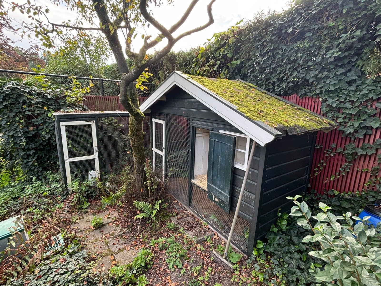 GRATIS.  Kippenhok kleur groen- te renoveren, Dieren en Toebehoren, Ophalen, Hout, Overige typen