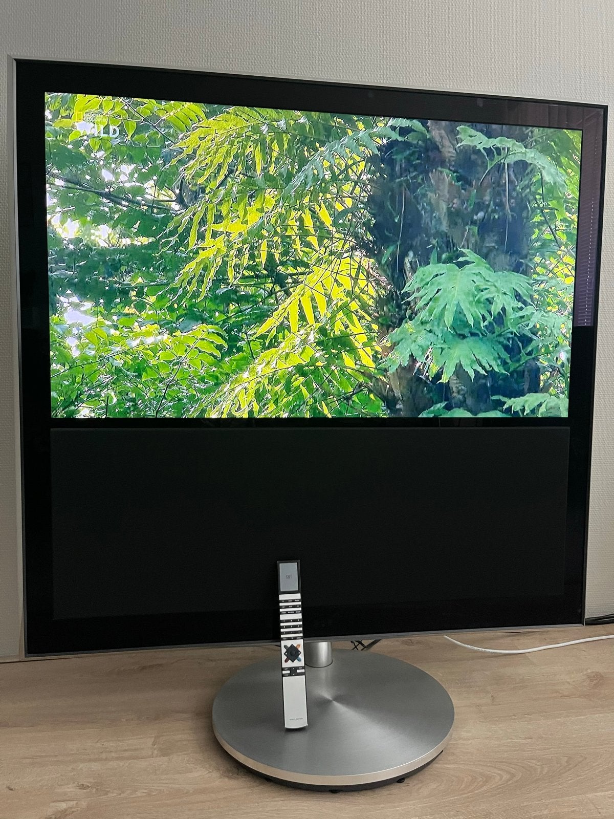 B&O BeoVision 10-46 met gemotoriseerde voet & Beo4, 120 Hz, 100 cm of meer, Full HD (1080p), Ophalen