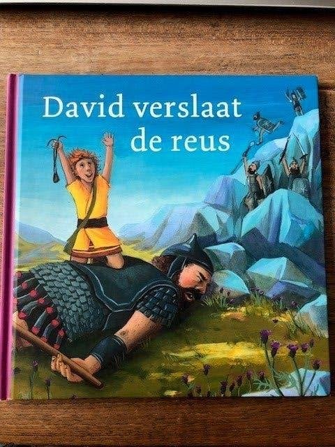 David verslaat de reus, Boeken, Gelezen, Ophalen of Verzenden, Non-fictie, Marijke ten Cate