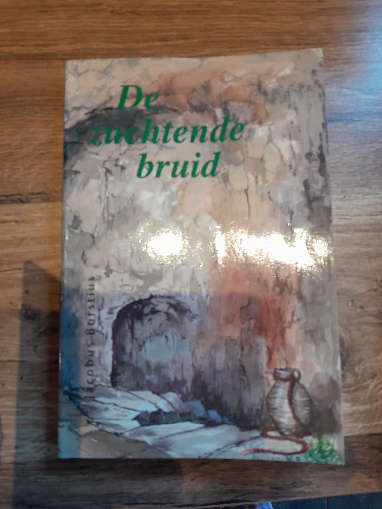 De zuchtende bruid - Jacobus Borstius, Ophalen of Verzenden, Zo goed als nieuw