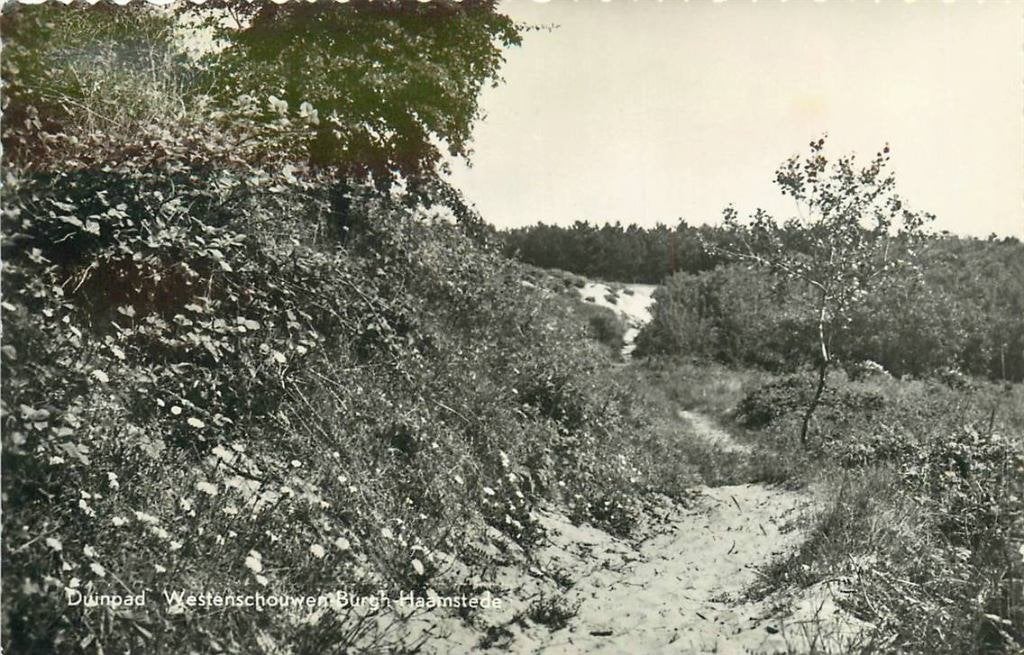 388-453-035 Burgh-Haamstede Duinpad, Verzenden, Voor 1920, Zeeland