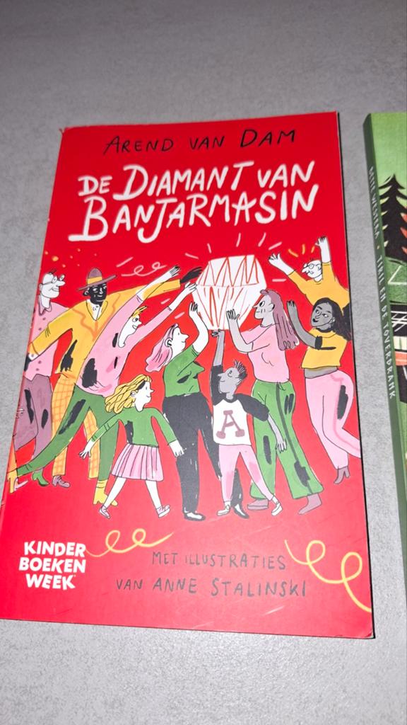 Kinderboekenweek boeken: De Diamant van Banjarmasin & Tiril, Boeken, Ophalen, Zo goed als nieuw, Arend van Dam, Bette Westera