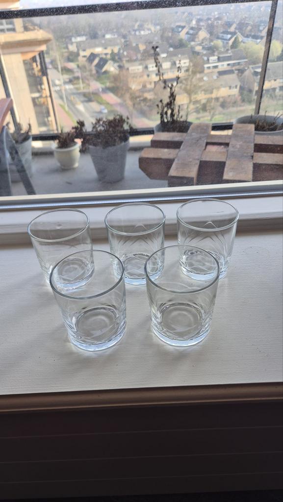 Set van 5 Vintage Whisky Tumblers met Gegraveerd Motief, Ophalen