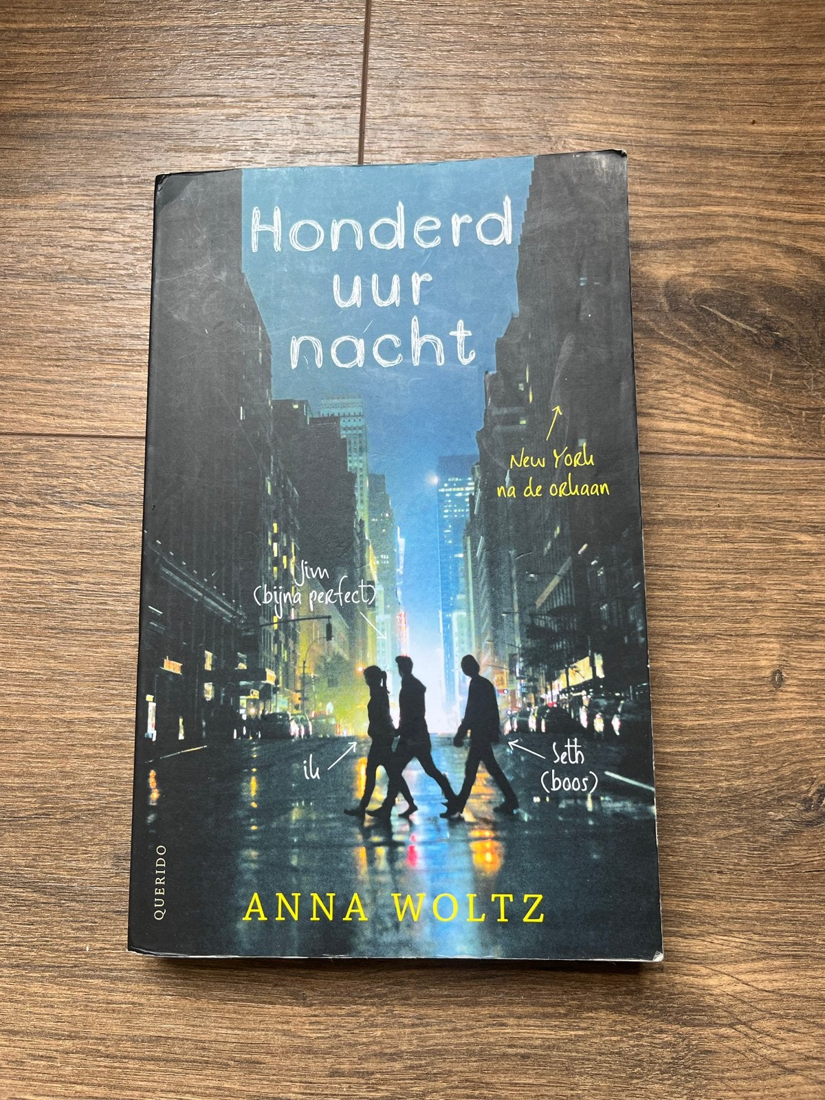 Honderd uur nacht - Anna Woltz (Jeugdboek), Boeken, Ophalen of Verzenden, Gelezen, Nederland