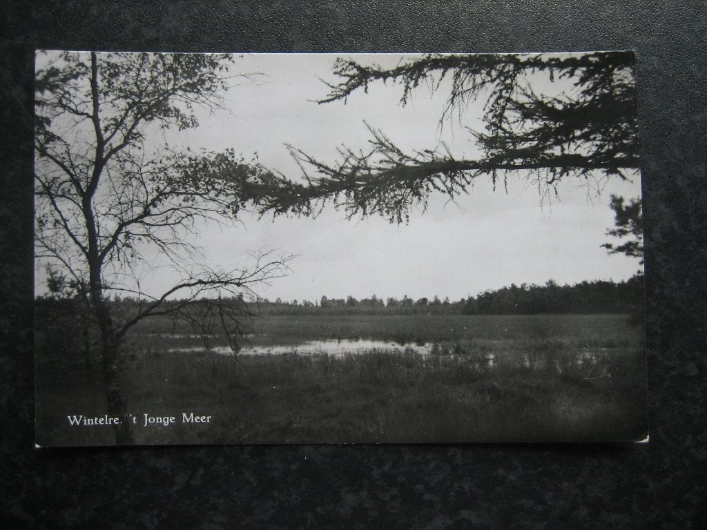 WINTELRE N.B.  't jonge meer 1959, Ophalen of Verzenden, 1960 tot 1980, Noord-Brabant