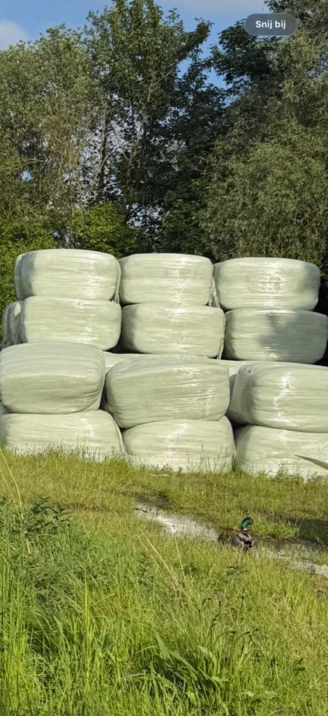 Mooie pakken kuilvoer 2025, Dieren en Toebehoren
