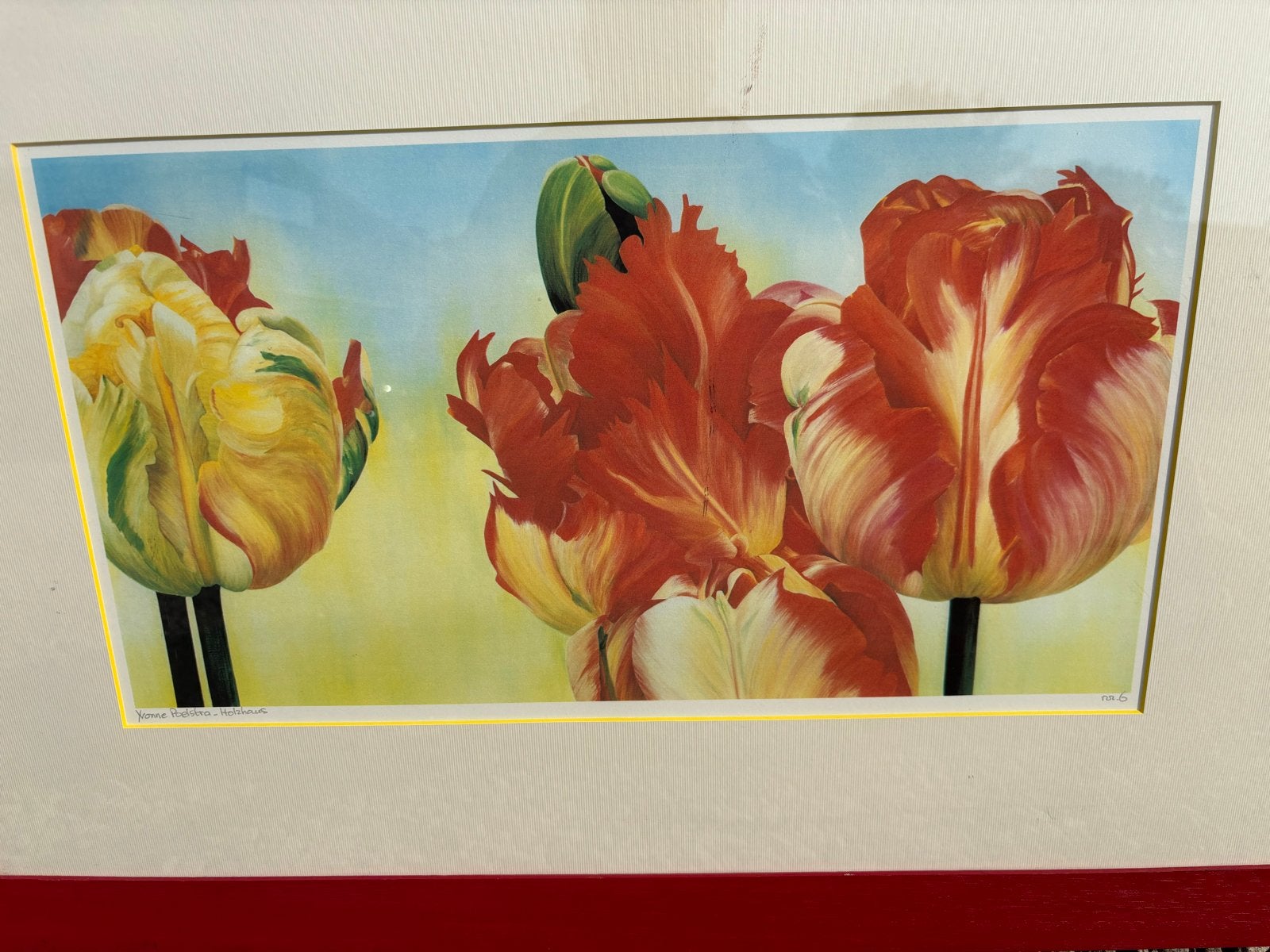 Yvonne Poelstra Holzhaus “Tulpen in bloei.”, Ophalen
