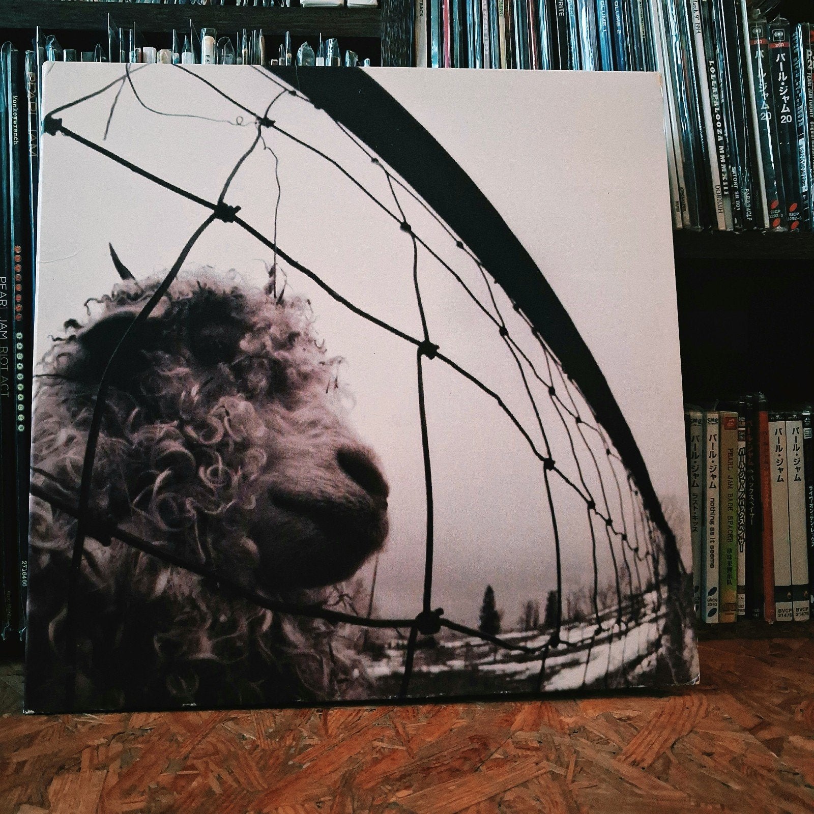 Pearl Jam - Vs. (LP) near mint (m2456335387) — Vinyl | Rock — Marktplaats