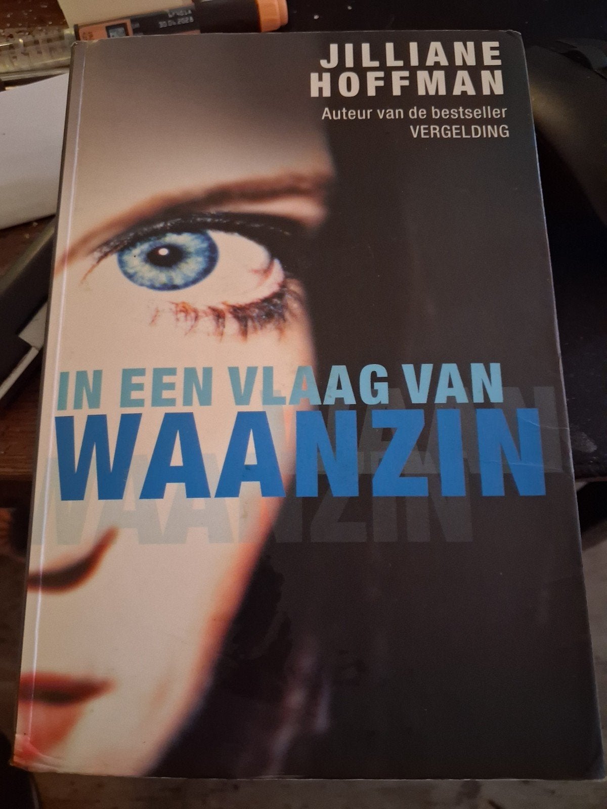 In een Vlaag van Waanzin - Jilliane Hoffman, Ophalen of Verzenden, Gelezen, Jilliane Hoffman, Europa overig