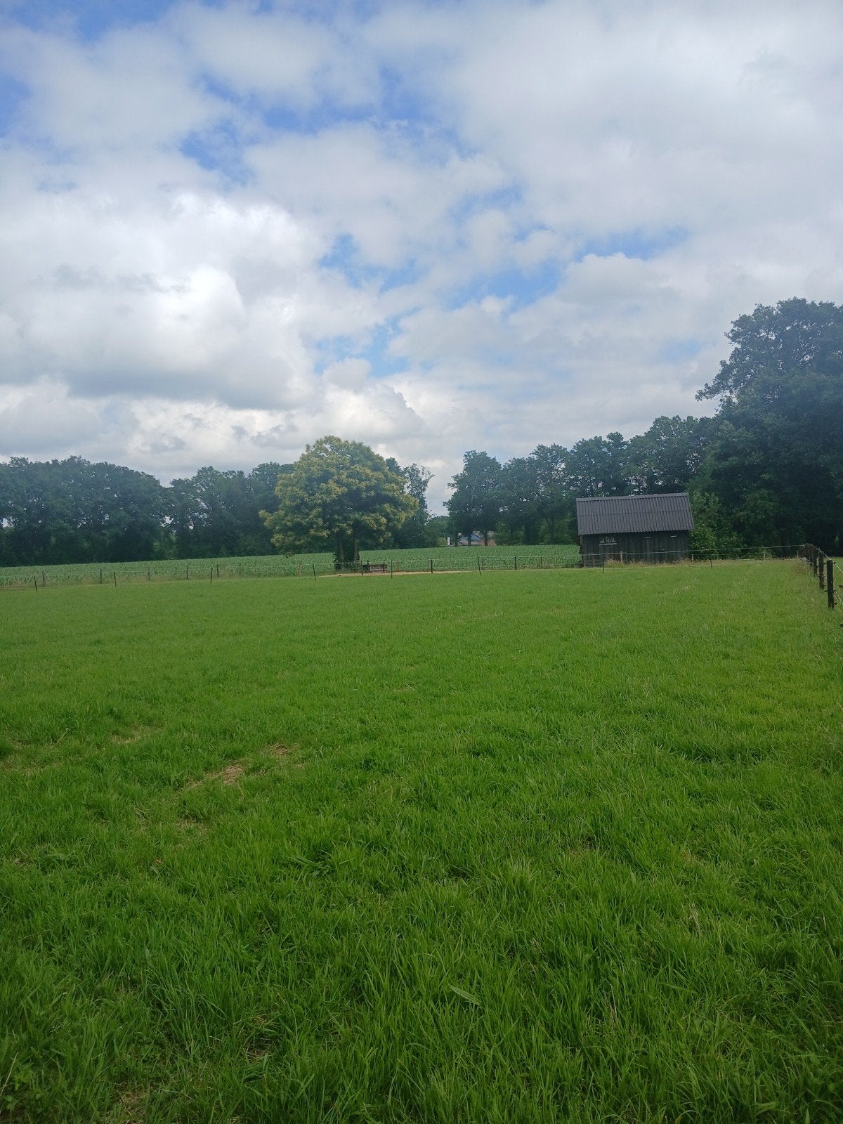 Weiland met stal, paddock, water en stroom, Dieren en Toebehoren, Stalling, 2 of 3 paarden of pony's