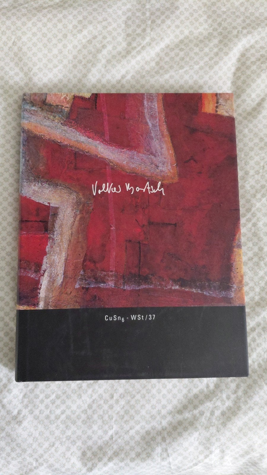 Volker Bo-Ash: CuSn6 - WSt/37 - Kunstboek, Ophalen of Verzenden, Zo goed als nieuw, Schilder- en Tekenkunst, Volker Bo-Ash